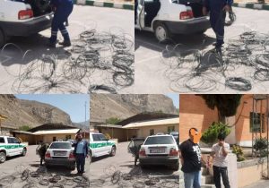 سارق سریالی سیم و کابل در لاریجان دستگیر شد