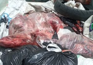 باند توزیع گوشت خوک در آمل دستگیر شد