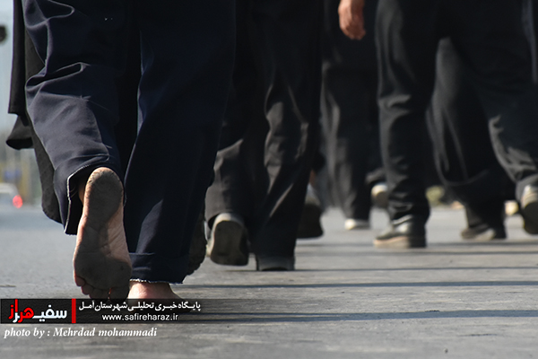 پیاده روی حرم تا حرم توسط دلدادگان اربعین حسینی در دیار علویان