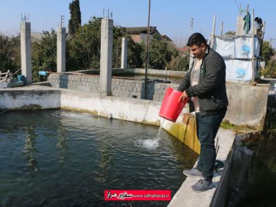 محمد حسین با پشتکار و همت بالا در سن ۱۸ سال با جدا شدن از زندگی شهری به پرورش ماهی در روستا روی آورده است