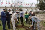 کاشت ۲۵۰۰ نهال در طرح ملی درختکاری توسط سپاه آمل