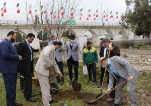 کاشت ۲۵۰۰ نهال در طرح ملی درختکاری توسط سپاه آمل