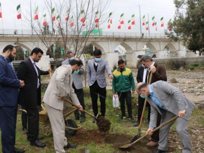 کاشت ۲۵۰۰ نهال در طرح ملی درختکاری توسط سپاه آمل