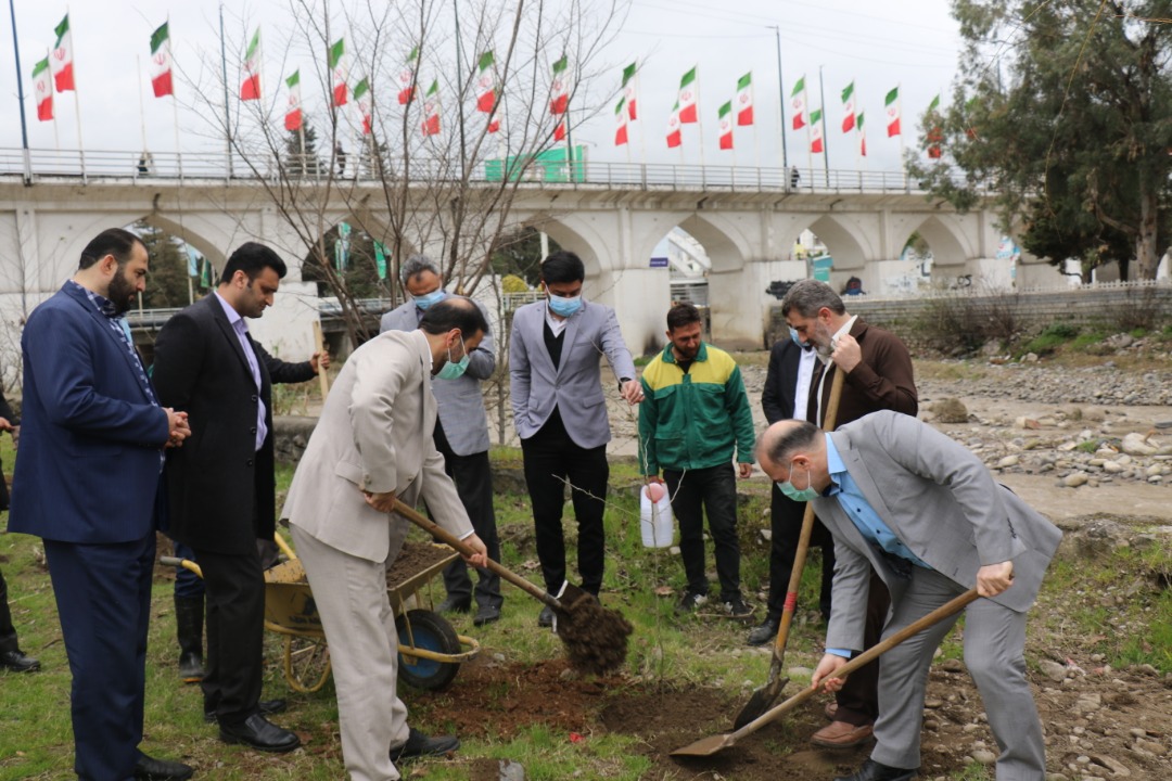کاشت ۲۵۰۰ نهال در طرح ملی درختکاری توسط سپاه آمل کاشت ۲۵۰۰ نهال در طرح ملی درختکاری توسط سپاه آمل