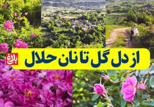 از دل گُل تا نان حلال با عطر اصالت