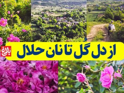 از دل گُل تا نان حلال با عطر اصالت