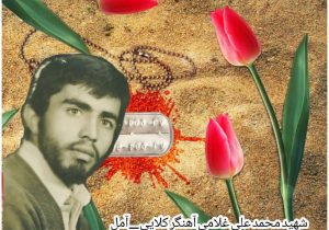 امام را تنها نگذارید، هرکسى که از امام دورى کرد بداند گمراه مى شود