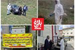 مبارزه با آفت ملخ البرزی در اراضی آمل