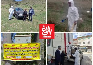 مبارزه با آفت ملخ البرزی در اراضی آمل