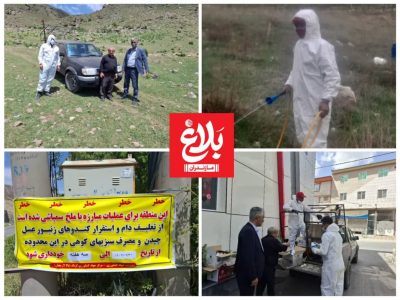 مبارزه با آفت ملخ البرزی در اراضی آمل