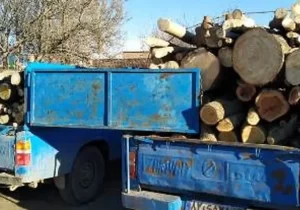 دادستان آمل: ۳ نفر از قاچاقچیان چوب دستگیر شدند
