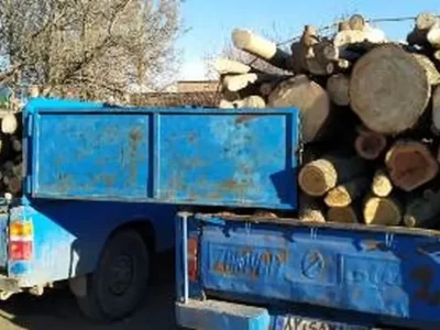 دادستان آمل: ۳ نفر از قاچاقچیان چوب دستگیر شدند