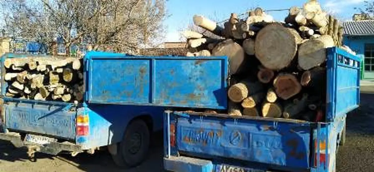 دادستان آمل: ۳ نفر از قاچاقچیان چوب دستگیر شدند
