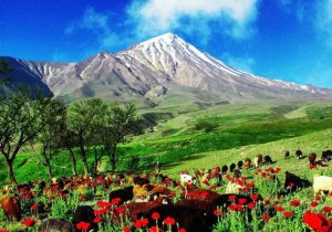 اهمیت سرمایه گذاری در گردشگری مازندران