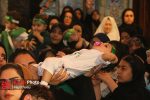 همایش شیرخوارگان حسینی در آمل