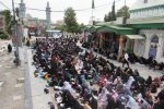 دعای عرفه در امامزادگان شاخص آمل قرائت می شود
