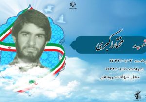 شهدا با شهادت خود زنده مى شوند.