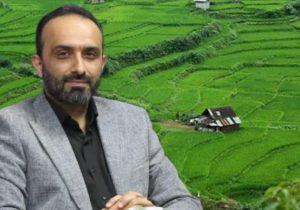 آغاز برداشت برنج از هفته سوم تیر در مازندران