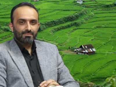 آغاز برداشت برنج از هفته سوم تیر در مازندران