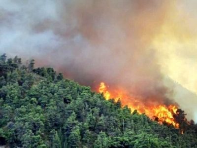 حبس و زندان در انتظار عاملان آتش سوزی در طبیعت