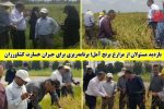 برنامه‌ریزی برای جبران خسارت کشاورزان