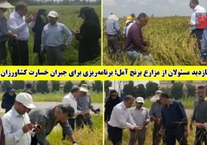 برنامه‌ریزی برای جبران خسارت کشاورزان