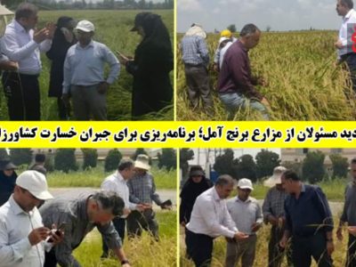 برنامه‌ریزی برای جبران خسارت کشاورزان