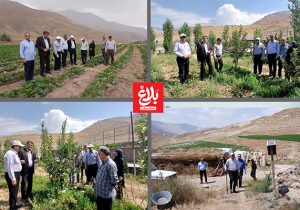 بازدید سرپرست جهاد کشاورزی آمل از روستاهای لاسم و زیارو لاریجان