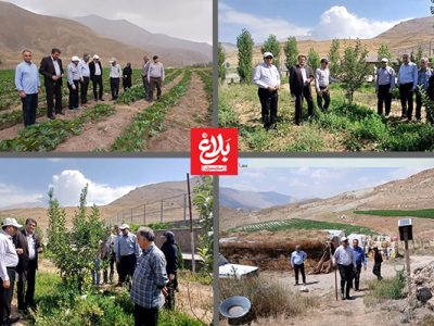 بازدید سرپرست جهاد کشاورزی آمل از روستاهای لاسم و زیارو لاریجان