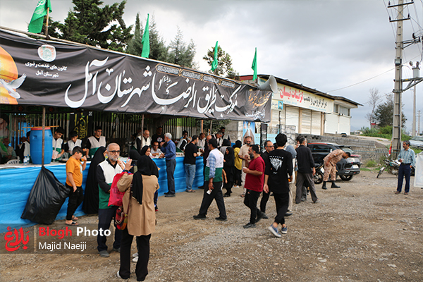 در سایه‌سار عشق رضوی؛ برپایی موکب «طریق الرضا» در آمل