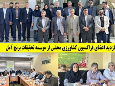 معرفی رقم انقلابی «امید» در آمل