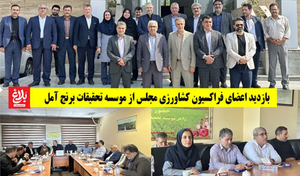 معرفی رقم انقلابی «امید» در آمل