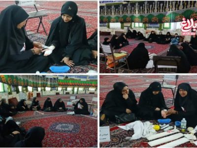کلاس «بانوان همیار محله» در رینه برگزار شد