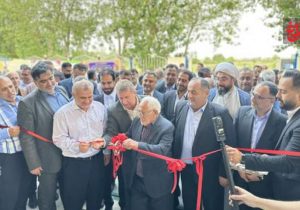 افتتاح شالیکوبی فوق‌مدرن «برکت آمل»