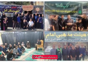 تقدیر فرمانده سپاه آمل از خادمان موکب‌های جهادی در مشهد مقدس