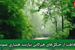 عزم جدی برای حفاظت از میراث سبز شمال