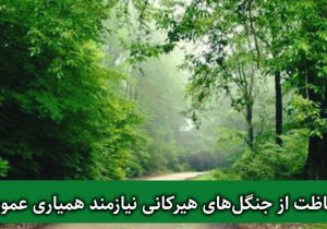 عزم جدی برای حفاظت از میراث سبز شمال