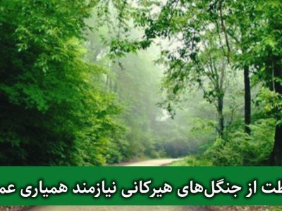 عزم جدی برای حفاظت از میراث سبز شمال