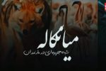 میانکاله؛ تالاب زنده‌ای که نفس‌هایش به شماره افتاد