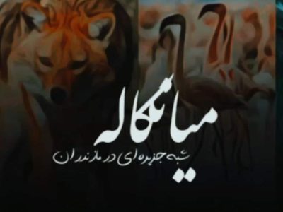 میانکاله؛ تالاب زنده‌ای که نفس‌هایش به شماره افتاد