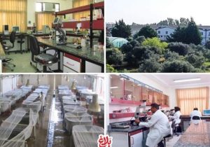 پیگیری ویژه قوه قضاییه برای نجات اکولوژی خزر