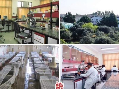پیگیری ویژه قوه قضاییه برای نجات اکولوژی خزر