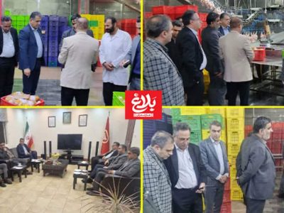 تضمین تأمین مرغ گرم با قیمت مصوب در مازندران