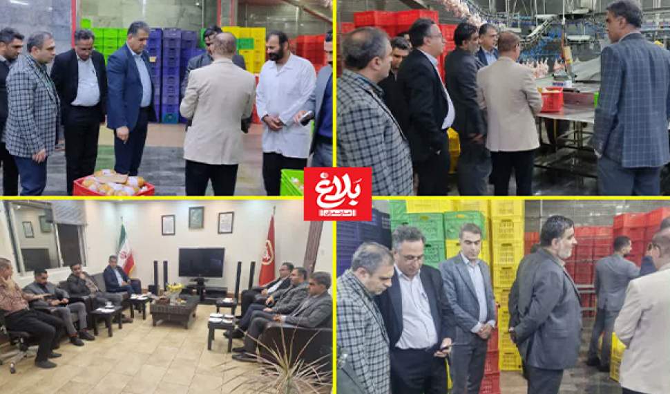 تضمین تأمین مرغ گرم با قیمت مصوب در مازندران