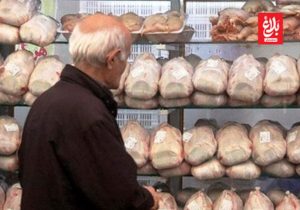 توزیع مرغ گرم دولتی با نرخ مصوب در فروشگاه‌ها