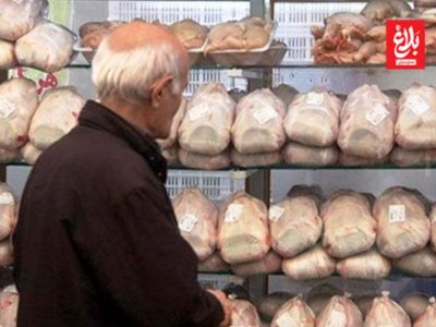 توزیع مرغ گرم دولتی با نرخ مصوب در فروشگاه‌ها