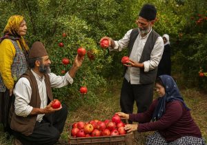 اناری که جهان ارزشش را می‌داند