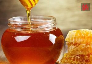 رکوردشکنی زنبورداران آمل با تولید ۳۵۰ تن عسل