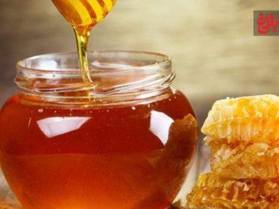 رکوردشکنی زنبورداران آمل با تولید ۳۵۰ تن عسل