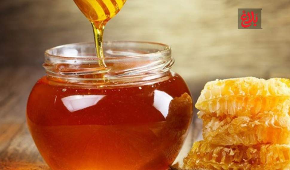 رکوردشکنی زنبورداران آمل با تولید ۳۵۰ تن عسل